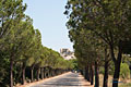Aureille - 13 photos - Alpilles