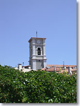Cassis Cassis_v5
