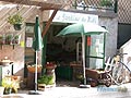 Eygui&egrave;res - Jardin du midi
