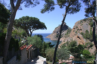 La Ciotat - Calanque