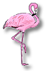 pink Flamingo