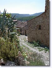Bauduen - Campagne