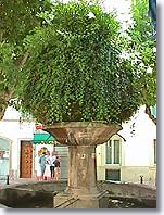 Le Beausset - Fountain