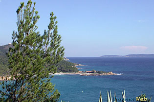 Bormes les Mimosas