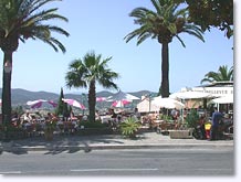 Bormes les Mimosas - Place