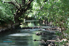 Cabasse sur Issole, lssole river