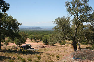 Les Mayons - Plaine des Maures