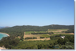 Porquerolles - Courtade vineyard