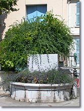 Puget Ville - Fountain