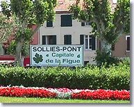 Sollies Pont - Fig city