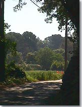 Saint Antonin du Var - La route