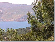 Vue de la For&ecirc;t domaniale !