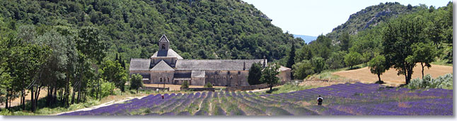 Abbaye de S�nanque