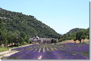 Abbaye de S�nanque
