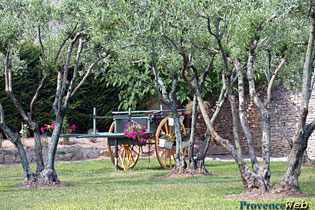 Cabrieres d'Avignon - Cart