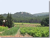 Uchaux, paysage