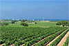 Domaine des Tounels