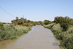 Canal de la Camargue