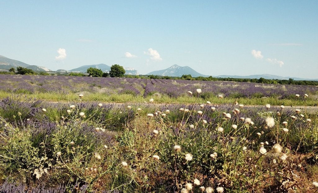 Randonnées près de Saint Jurs.