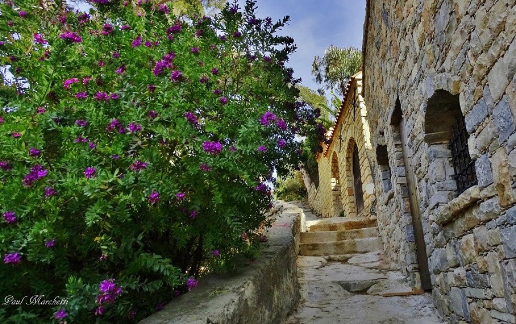 ruelle.