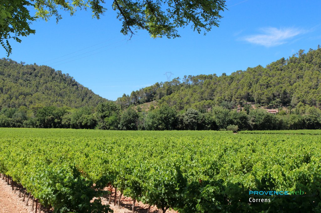 Chateau Miraval Correns.