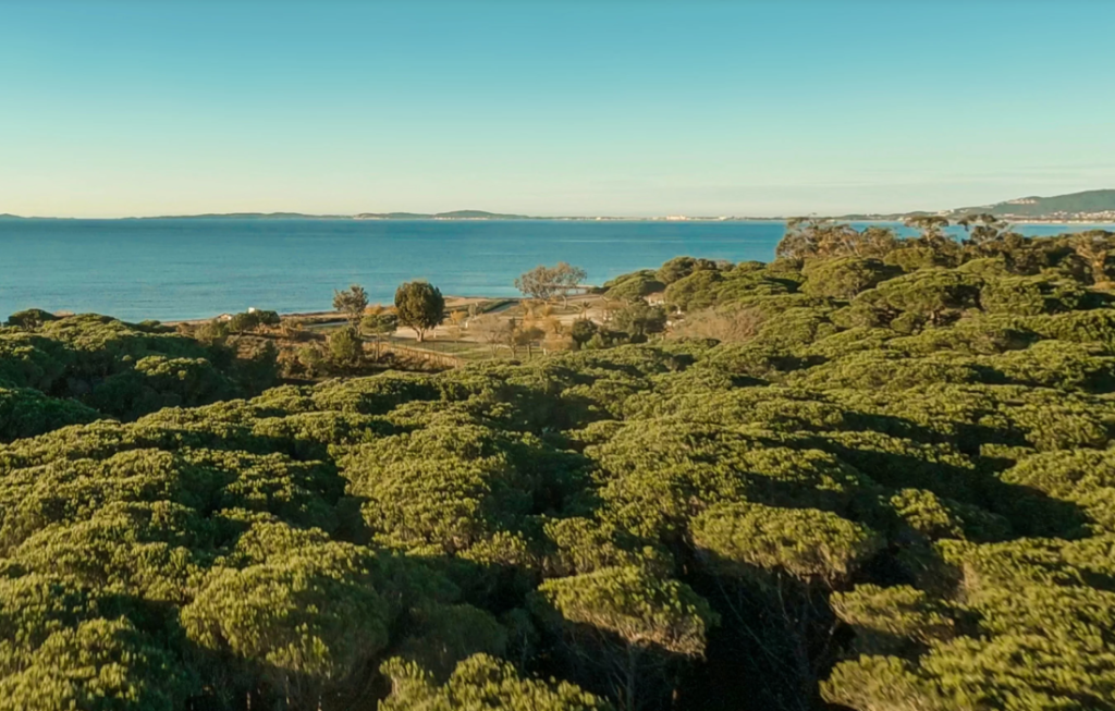 plage La Londe les Maures.