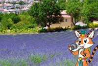 Camping Oxygène