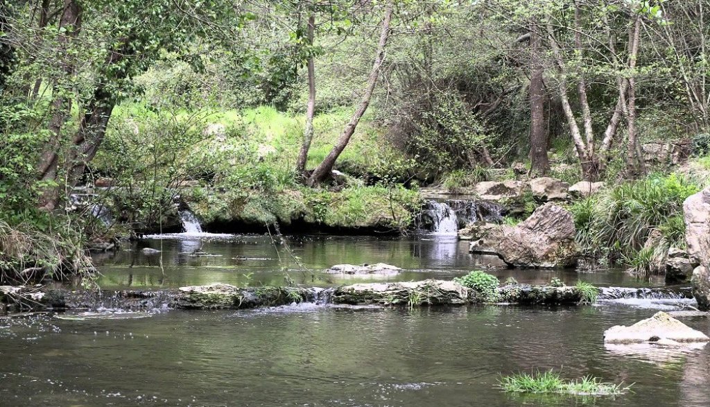Parc de la Brague.