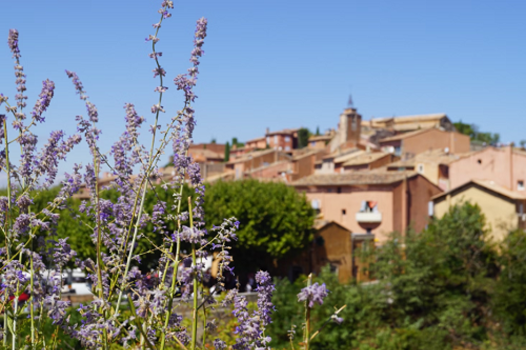 Activités originales en Provence.