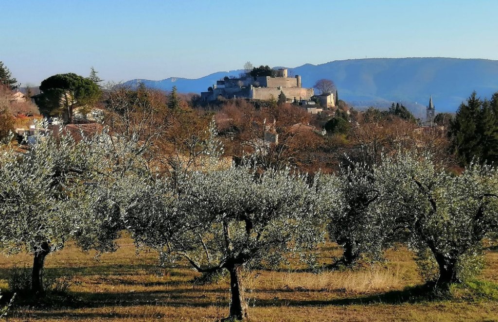 Château de Mane.