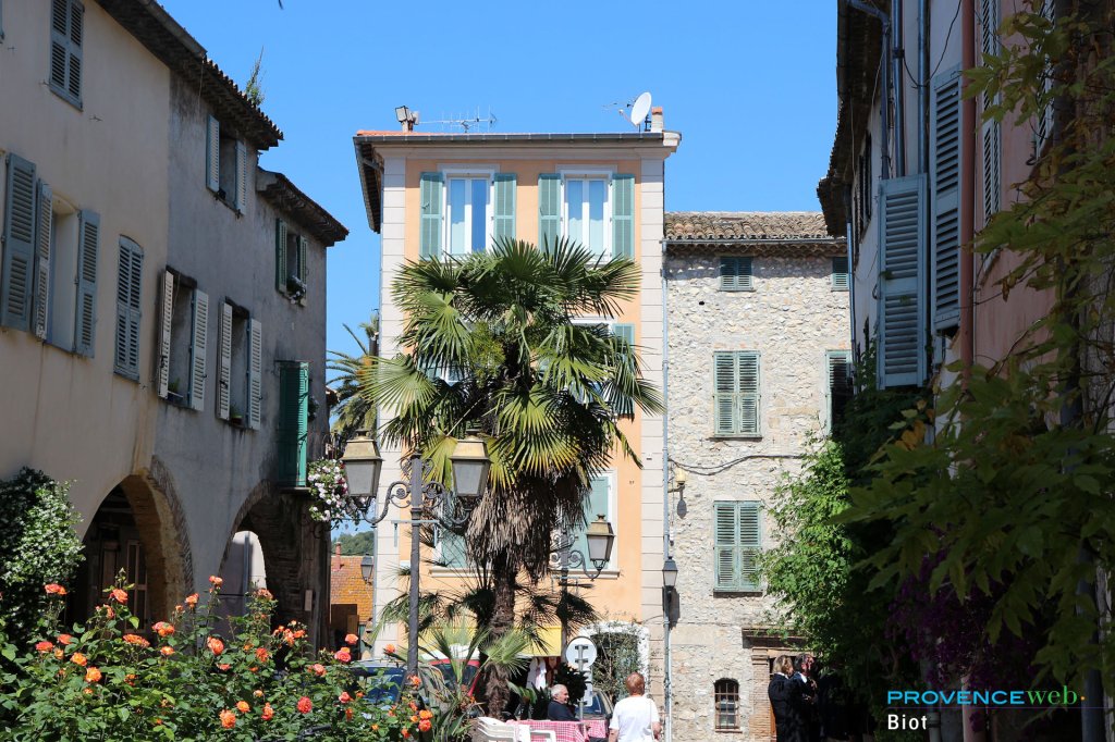 Biot 06.