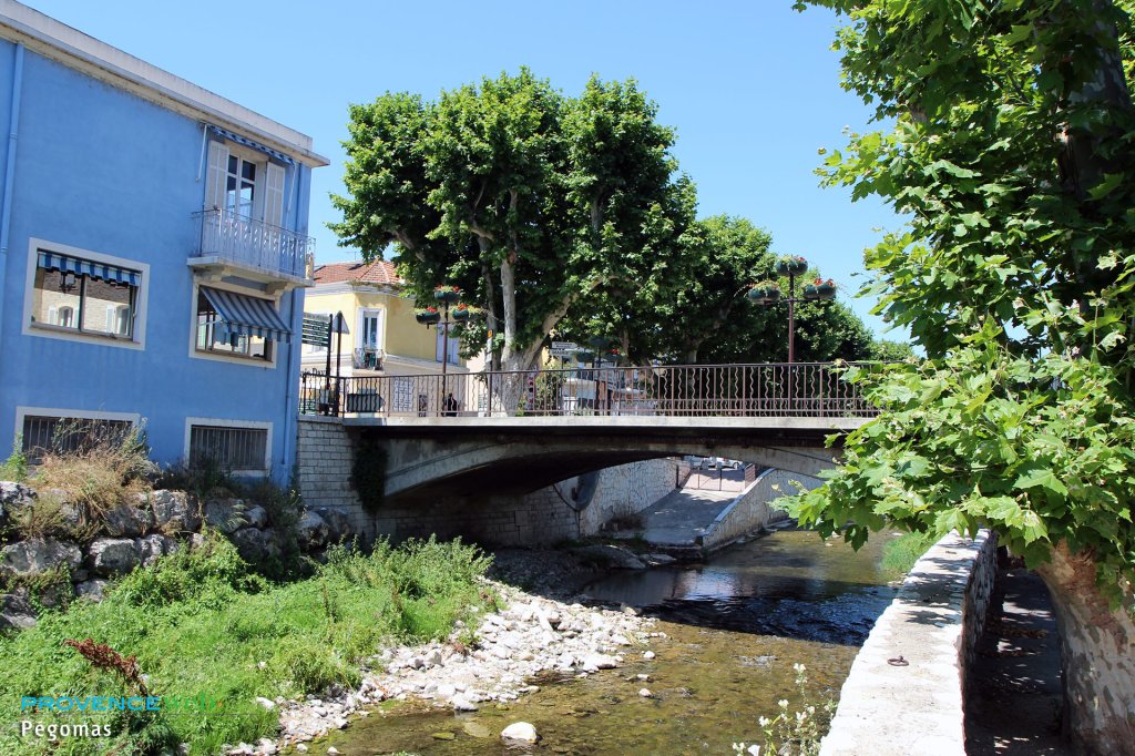 rivière à Pégomas.