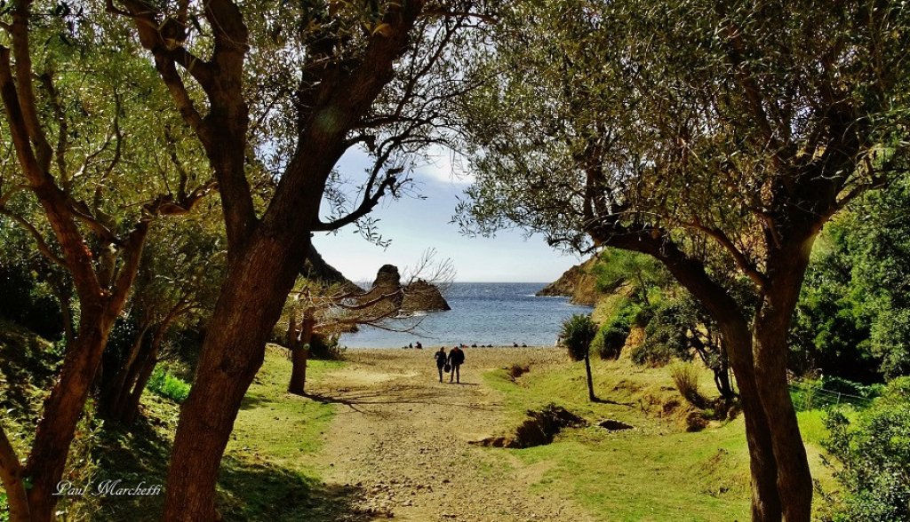 calanque près de La Ciotat.