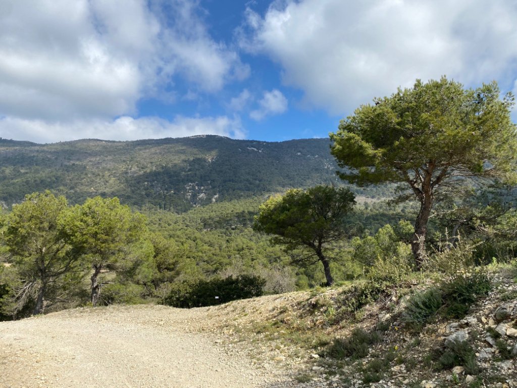 Randonnée à Cabrières d'Aigues.