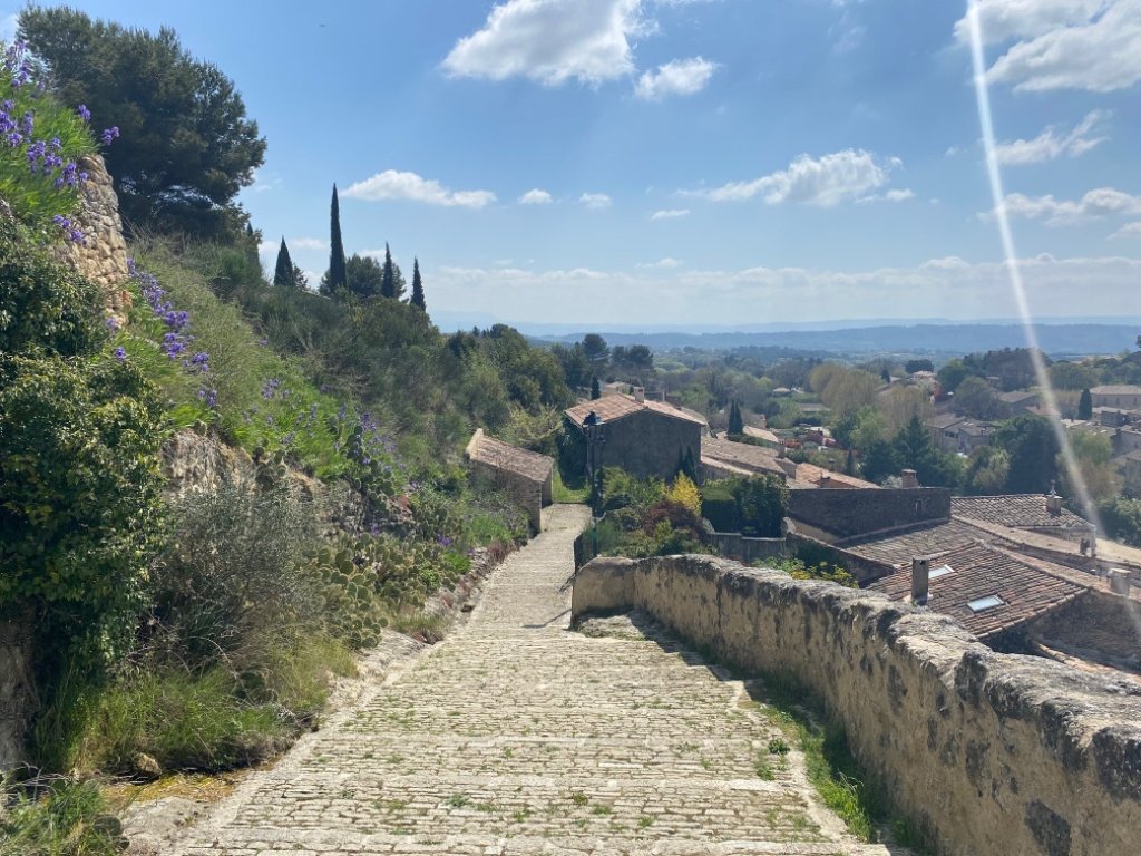 Escalier du Château.