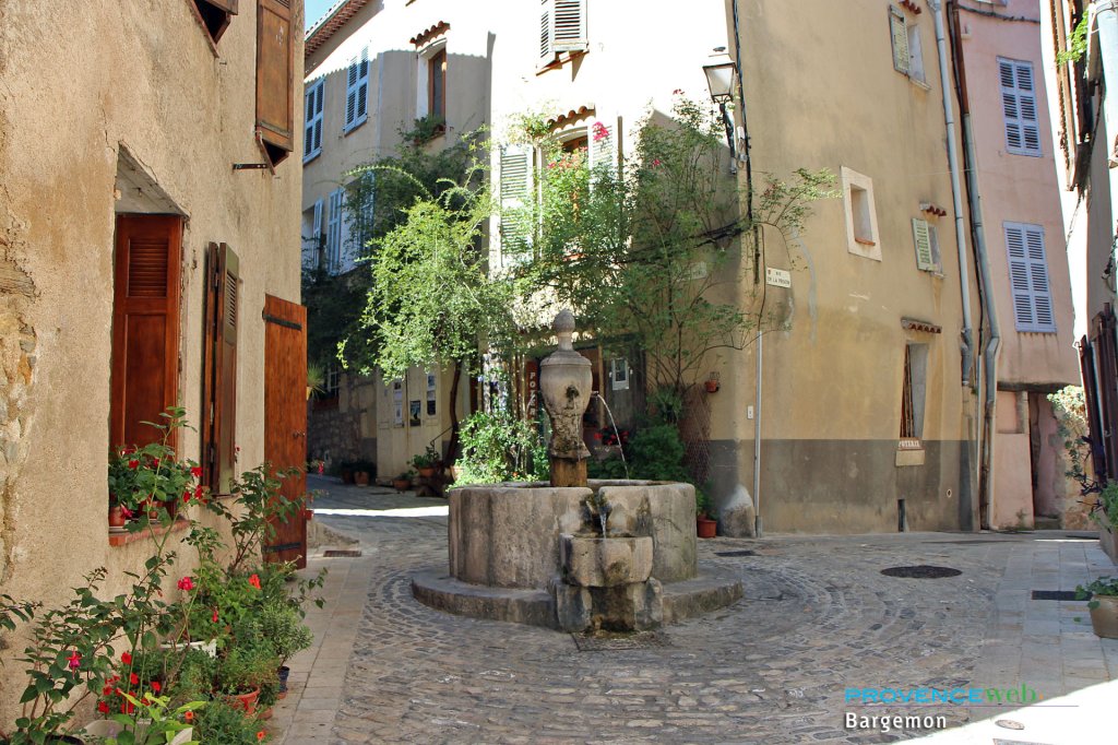 Place Bargemon.