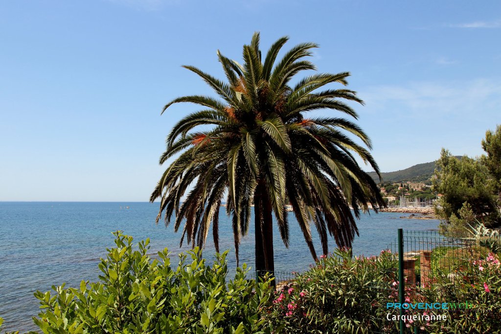 La mer à Carqueiranne.