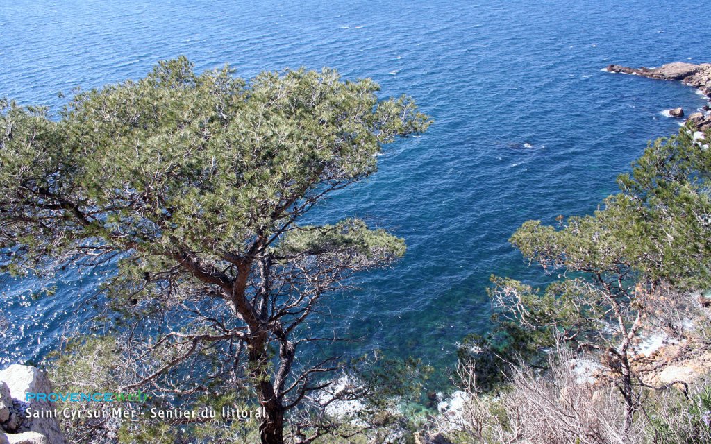 Sentier du littoral à Saint Cyr.