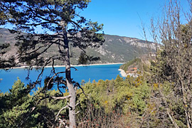 Camping La Ribire