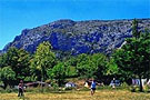 Le Vieux Colombier