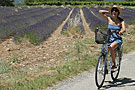 Location vélo Provence