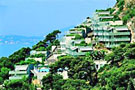 COSTA PLANA