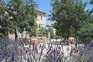 Le Clos des Lavandes