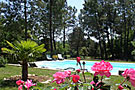 Le Clos des Cigales