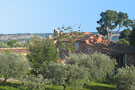 AMOUR PROVENCE