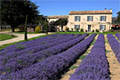 Bed and breakfast Provence: Domaine Saint Jacques et spa