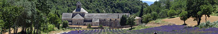 Senanque abbey - Provence