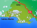 Locations vacances en Camargue