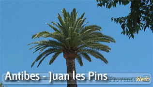 Video Antibes