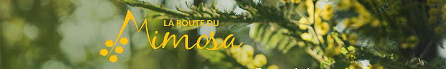 La Route du Mimosa